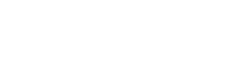 targusinfo-logo