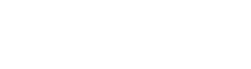 Space X logo